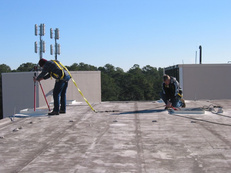 5-6 Floor Field1