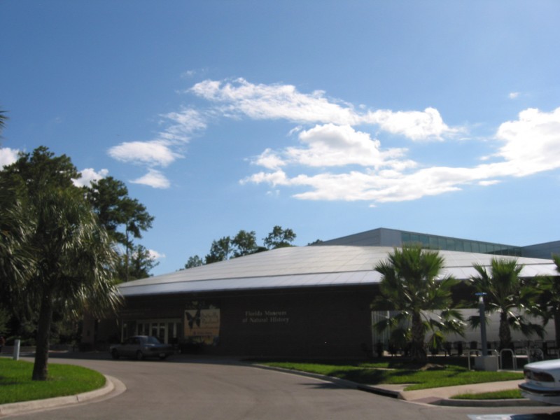 Florida Museum of Natural History3
