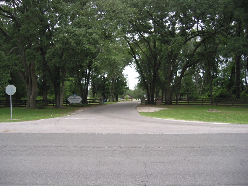 Poe Springs1
