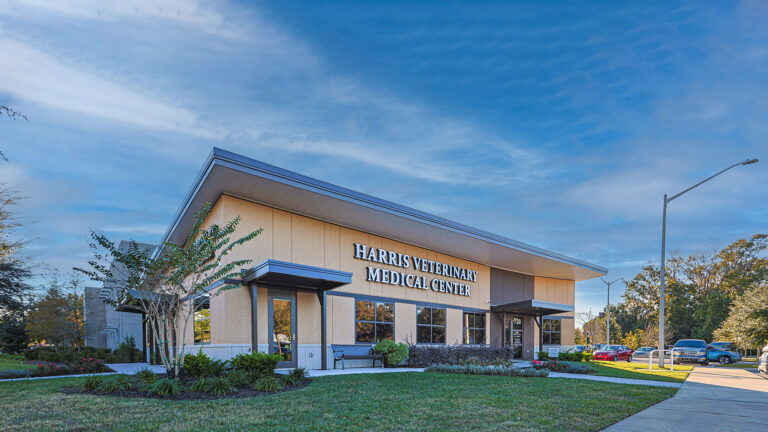 Harris Veterinary Office Gainesville